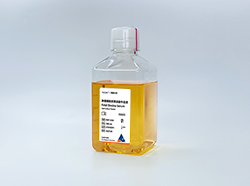 肿瘤细胞系筛选胎牛血清(FBP-S101)