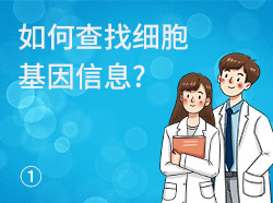 Cas9X技术课程（1）如何查找基因信息