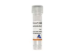 HyCyte®Blasticidin,Bsd  10 mg/mL