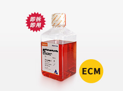 HyCyte® 通用型内皮细胞完全培养基ECM