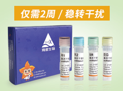 HyCyte™基因干扰稳转试剂盒 (shRNAx2.0)——稳转干扰仅需2周