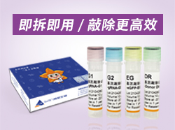 CRISPR基因敲除试剂盒Cas9x3.0——敲除更高效仅需3000元