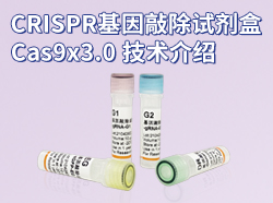 CRISPR基因敲除试剂盒Cas9x3.0