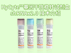 HyCyte™基因干扰稳转试剂盒shRNAx2.0