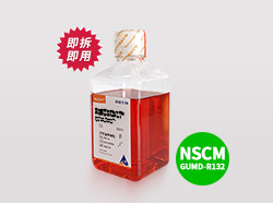 HyCyte®通用型原代神经干细胞完全培养基(NSCM)