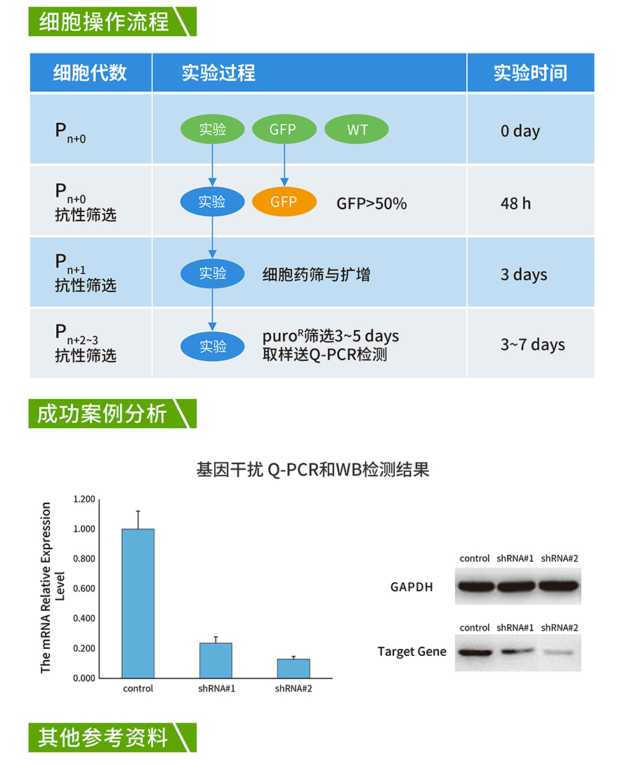 HyCyte™基因干扰稳转试剂盒 (shRNAx2_07.jpg