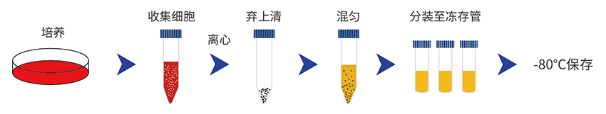 一步冻存液流程图.jpg