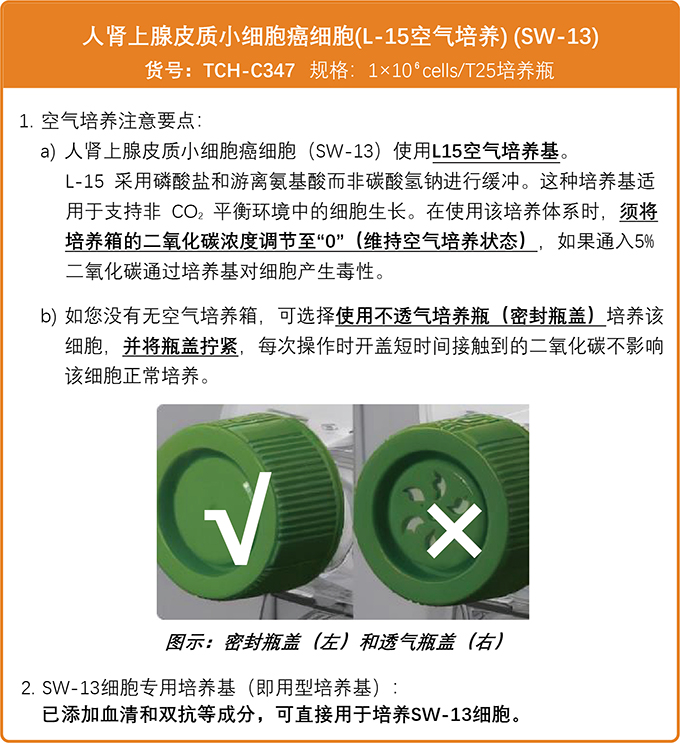 /ueditor/image/2023/02/16/f35b072fe66b79179df70cd6af7c28af.jpg SW-13培养要点.jpg