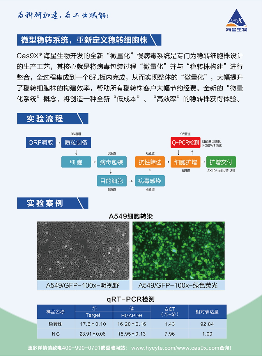 稳转细胞株促销—背面.jpg