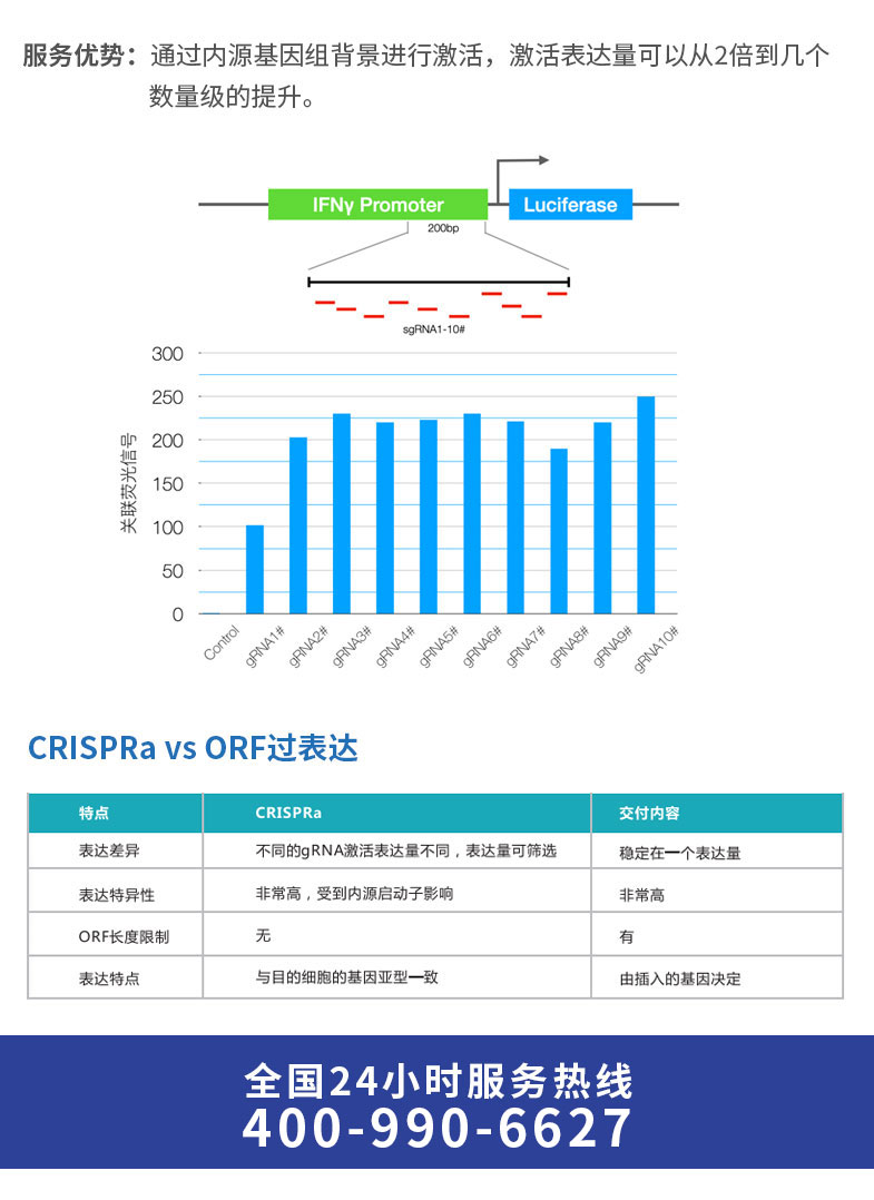 竞价激活转录_04.jpg