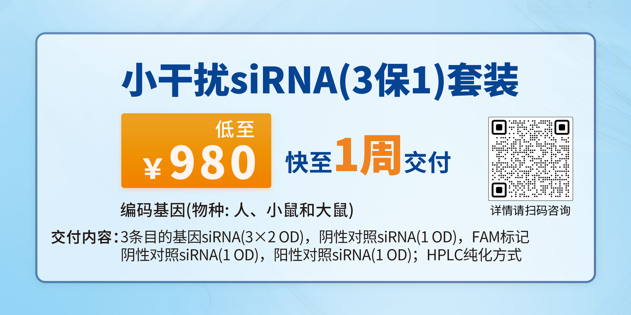小干扰siRNA(3保1)套装980.jpg