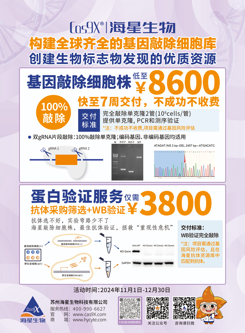 基因敲除细胞株1022.jpg