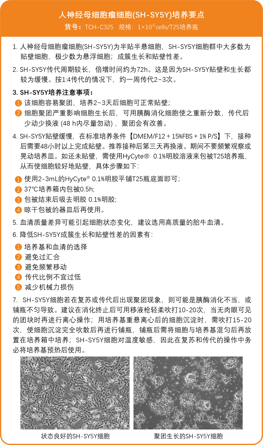 /ueditor/image/2025/12/10/eb878d703fb36a407601755cb9670fa0.jpg SH-SY5Y培养要点.jpg