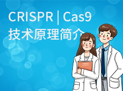 CRISPR | Cas9技术原理简介