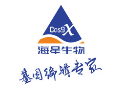 CRISPR文库服务公司核心优势深度解析