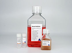 HyCyte®永生化人脐带间充质干细胞完全培养基