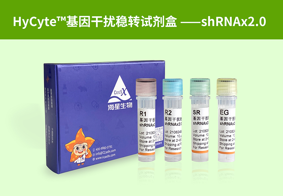 HyCyte™基因干扰稳转试剂盒 (shRNAx2_01.jpg