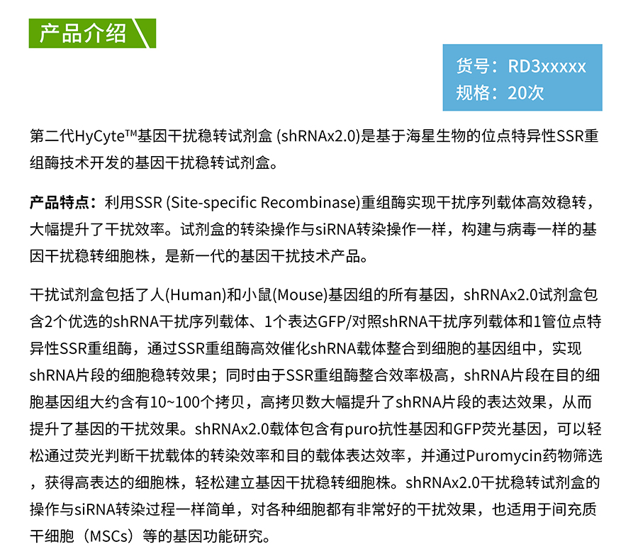 HyCyte™基因干扰稳转试剂盒 (shRNAx2_02.jpg