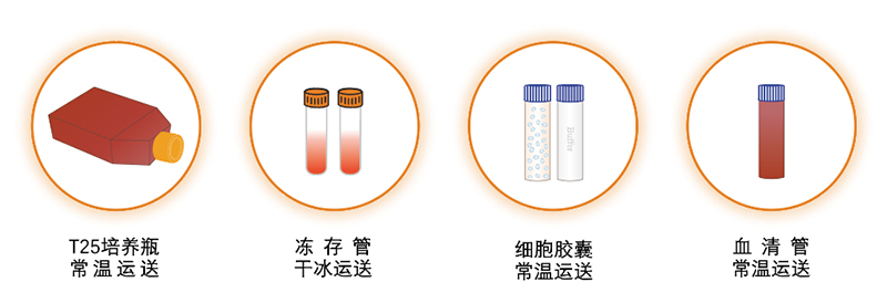 细胞收货图片.jpg