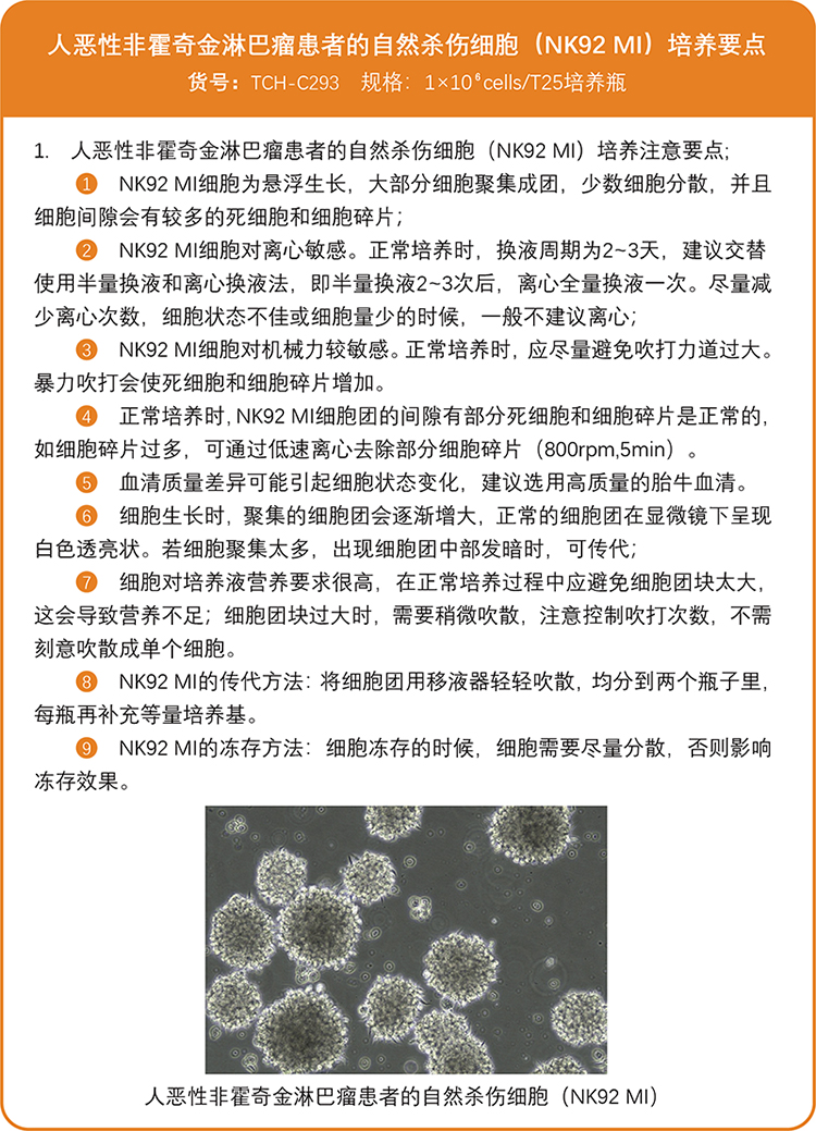 NK92 MI 细胞培养要点.jpg