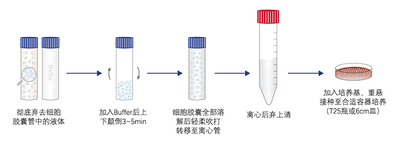 细胞胶囊流程图.jpg