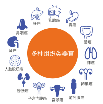 /ueditor/image/2024/09/06/6dacdd912b53f5b2440e63aed4bebf13.png image.png