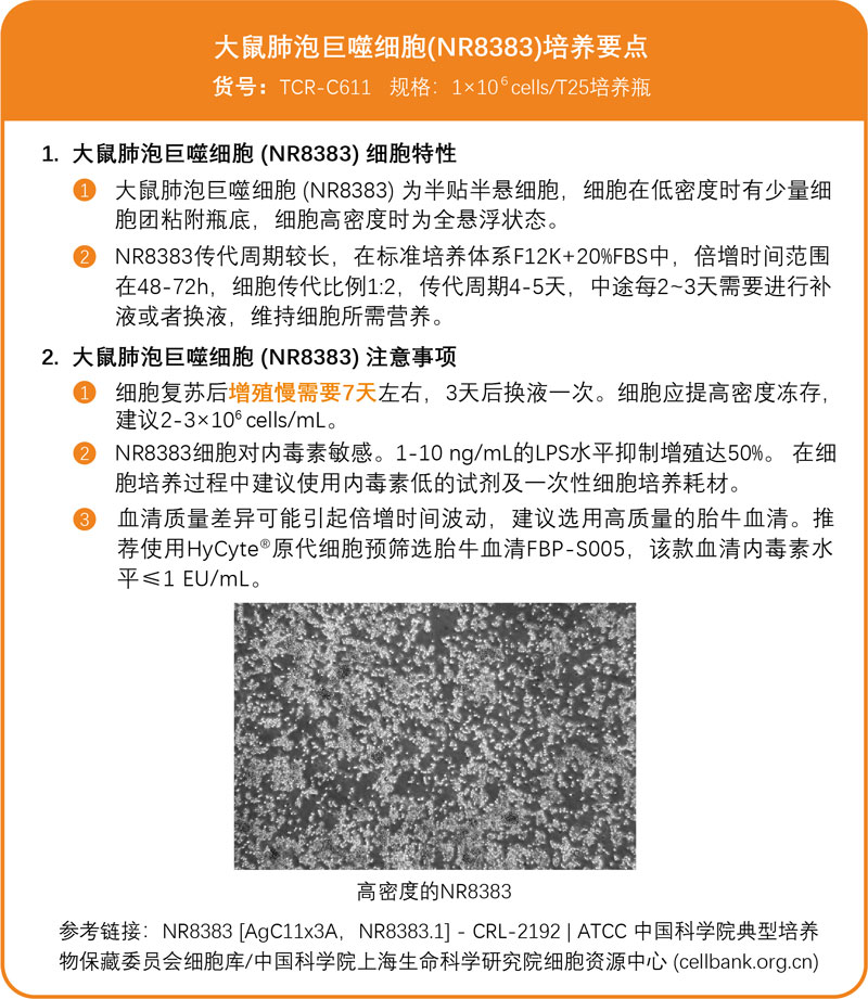 NR8383培养要点.jpg