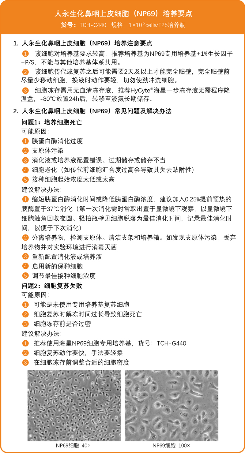 人永生化鼻咽上皮细胞（NP69）培养要点.jpg
